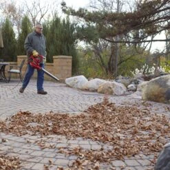 Toro Ultra 260 Mph 340 CFM 110 V Electric Handheld Leaf Blower/Vacuum -Stihl Lifetime Shop 0fd0ea0f d31f 4d06 b81a 37a76a719bab