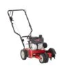Troy-Bilt 1 In. Gas Edger -Stihl Lifetime Shop 420d90f2 b995 4087 b8f3 d821728ee2d8